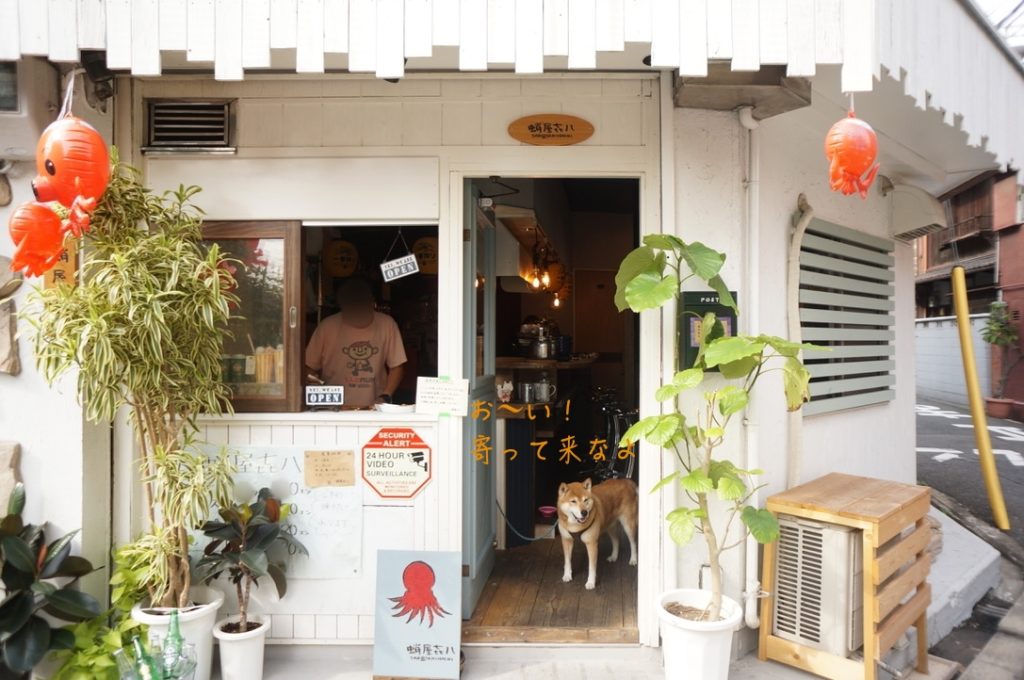 住吉大社の近くにあるオススメたこ焼き店 蛸屋 㐂八 看板犬のしーちゃんに会いに行こう コンフィーダイニング